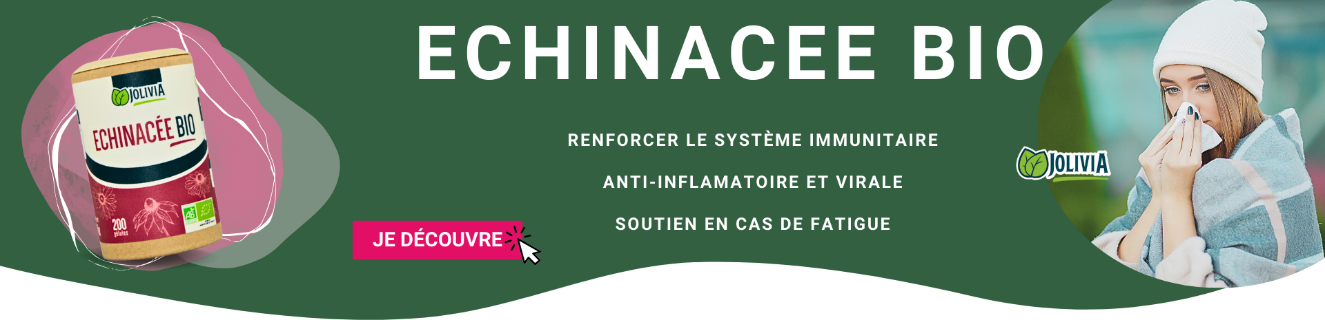 Echinacée bio